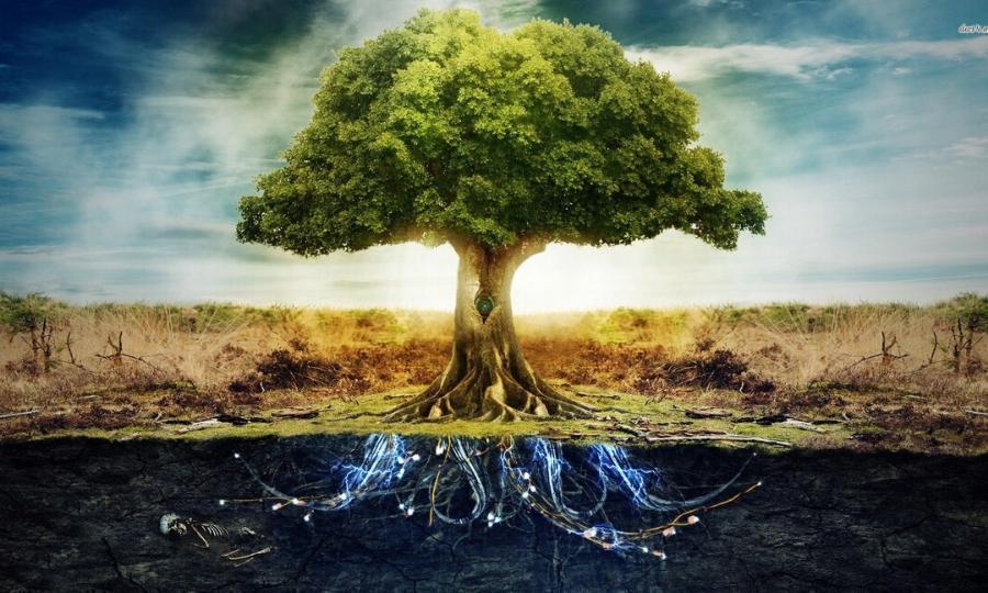 The tree of life is an ancient symbol of wisdom and harmony